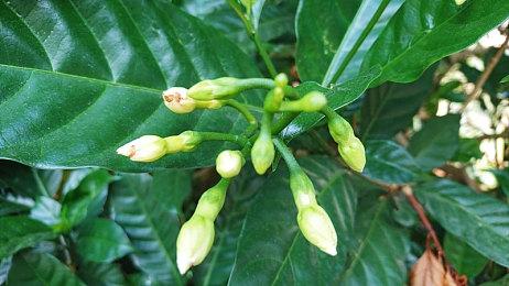 育碧股价过去5年暴跌超80% 已是十年最低水平